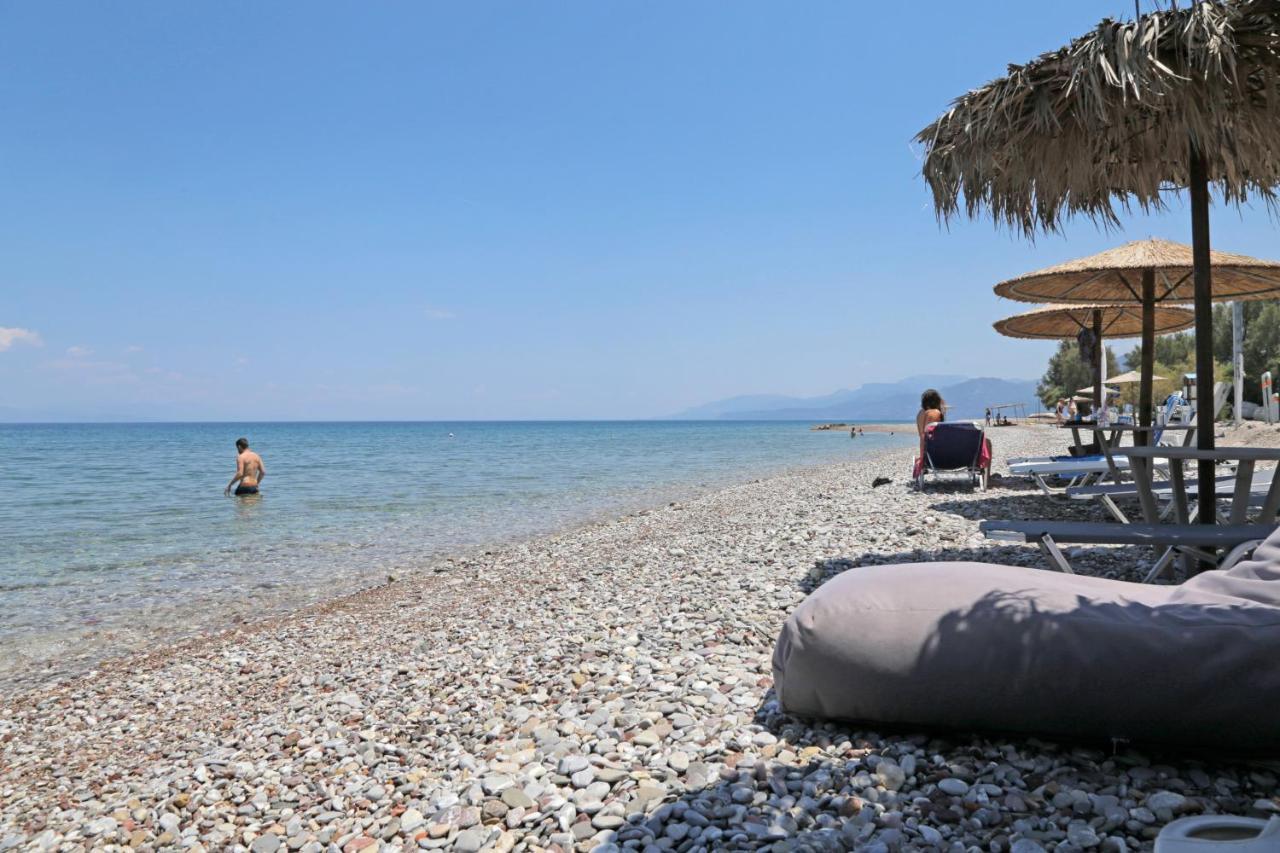 Oliva Holiday Homes Dhiyeliotika Exterior foto